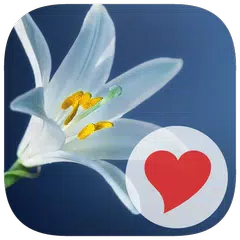 570 Pics Icon