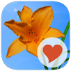 640 Photos APK