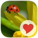 680 Words APK
