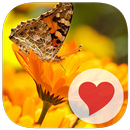 650 Photos APK