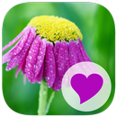 APK 400 Parole Eccezionali