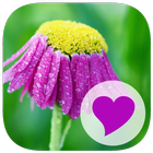 400 Exceptional Words icon