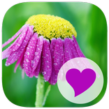 400 Exceptional Words