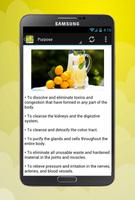 Lemonade Diet weight loss syot layar 2