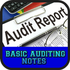 Basic Auditing Notes icône