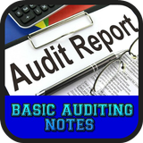 Basic Auditing Notes icône