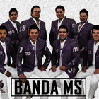 Banda MS Hits Album أيقونة