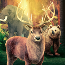 APK Animal Hunter 2017