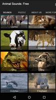 Wild Animal Sounds: For Kids Poster
