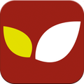 WORLD FOOD