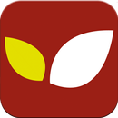 WORLD FOOD APK