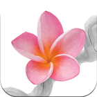 Flowers ITC آئیکن