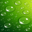 Neon Green Water Drops Lock Sc