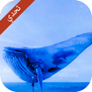 لعبة الحوت الزرق APK