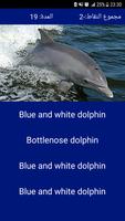 لعبة الحوت الزرق poster