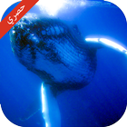 تحدي لعبة الحوت الازرق ícone