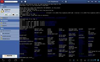 NeoRouter Remote Access (Mesh) ภาพหน้าจอ 2