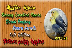 Suara Burung Lovebird Kawin MP 포스터