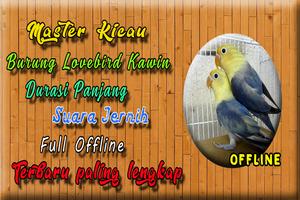 Suara Burung Lovebird Kawin MP imagem de tela 1