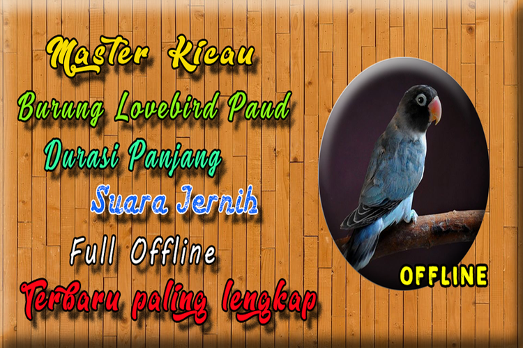 Kicau Lovebird Paud Juara Mp3 For Android Apk Download