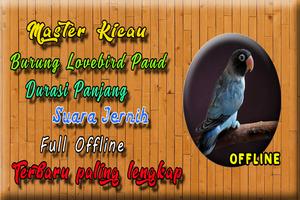 Masteran Lovebird Paud Ngekek Panjang MP3 ảnh chụp màn hình 3