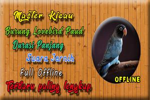 Masteran Lovebird Paud Ngekek Panjang MP3 imagem de tela 1