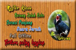 Jalak Kebo Gacor MP3 plakat