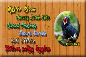 Jalak Kebo Gacor MP3 Affiche