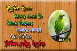 Suara Burung Cucak Ijo MP3 포스터