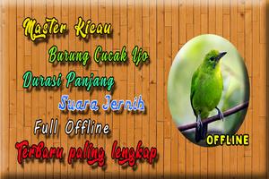 Suara Burung Cucak Ijo MP3 Screenshot 2