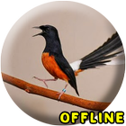 Master Murai Batu Medan MP3 icon