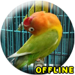 ”MP3 Lovebird Paud Offline