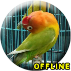 MP3 Lovebird Paud Offline আইকন