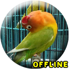 MP3 Lovebird Paud Offline 图标