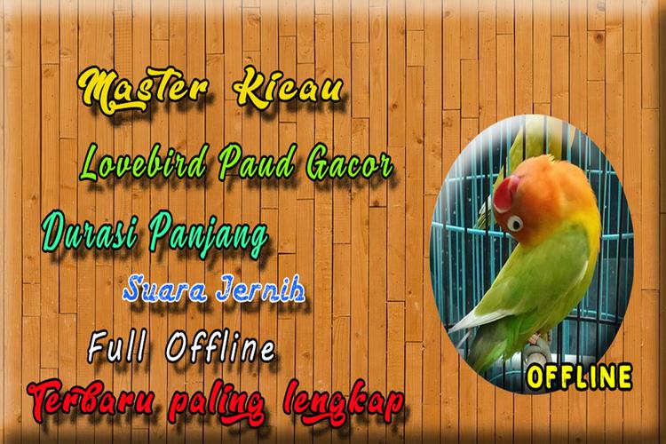 Download Mp3 Lovebird Paud Offline 1 0 4 Android Apk