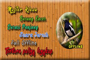 Suara Burung Kacer Full Isian imagem de tela 3