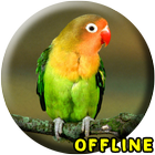 Masteran Lovebird Ngekek Panja biểu tượng
