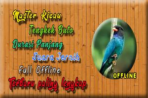 Suara Burung Tengkek Buto MP3 Ekran Görüntüsü 3