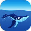 Soa et les mammifères marins APK