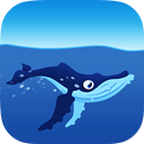 Soa et les mammifères marins APK