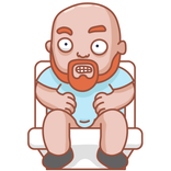 Toilet - time to fly