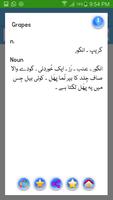 English Urdu Dictionary capture d'écran 1