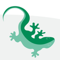 Lizard Regen