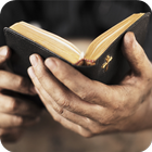 The Holy Bible - Audiobook icon