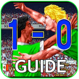 Guide For NeoGeo Cup