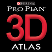 ”Proplan 3D AR