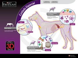 Proplan 3D AR স্ক্রিনশট 1