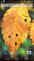 پوستر Autumn Live Wallpaper 2014