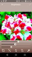 Vintage Photo Editor ภาพหน้าจอ 3
