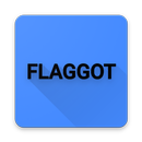 Flaggot - Test Your Flag Memory aplikacja